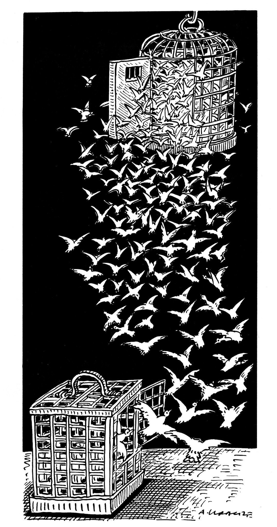 N44 - 100 dessins de Cartooning for Peace pour la liberté de la presse