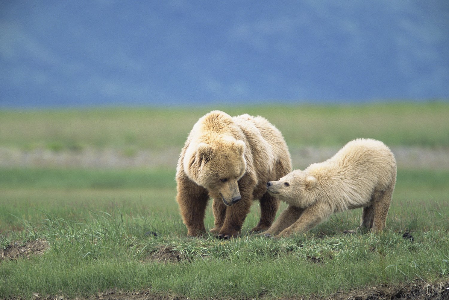 N47 - 100 photos de National Geographic