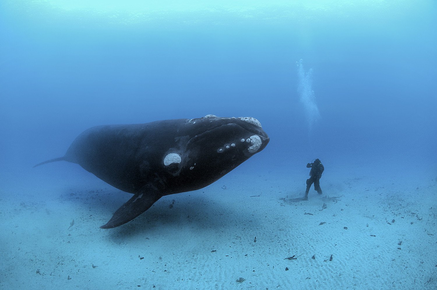 N47 - 100 photos de National Geographic