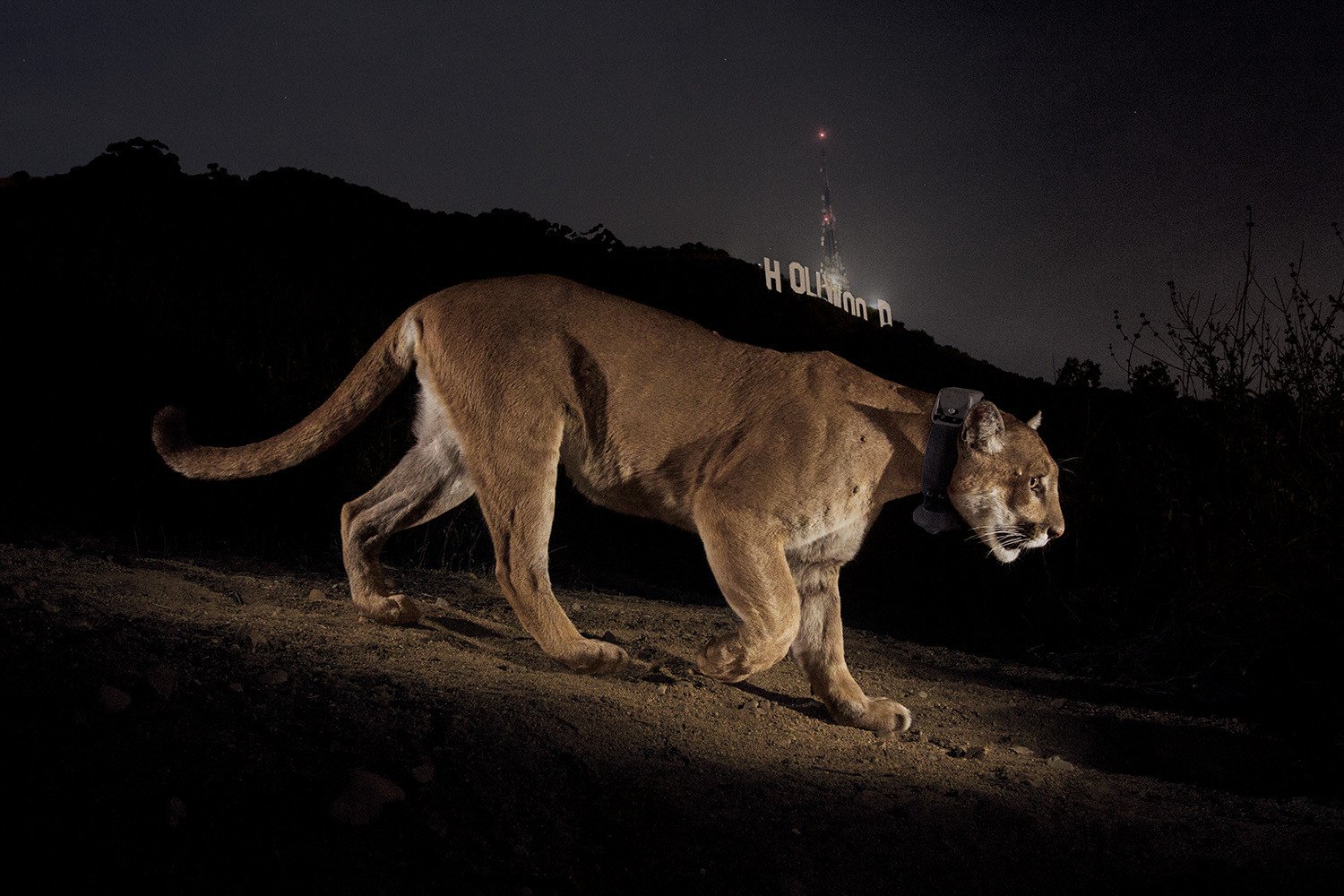 N47 - 100 photos de National Geographic
