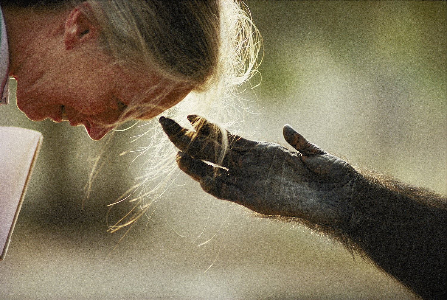 N47 - 100 photos de National Geographic