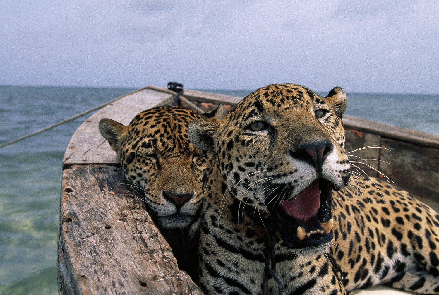 N47 - 100 photos de National Geographic