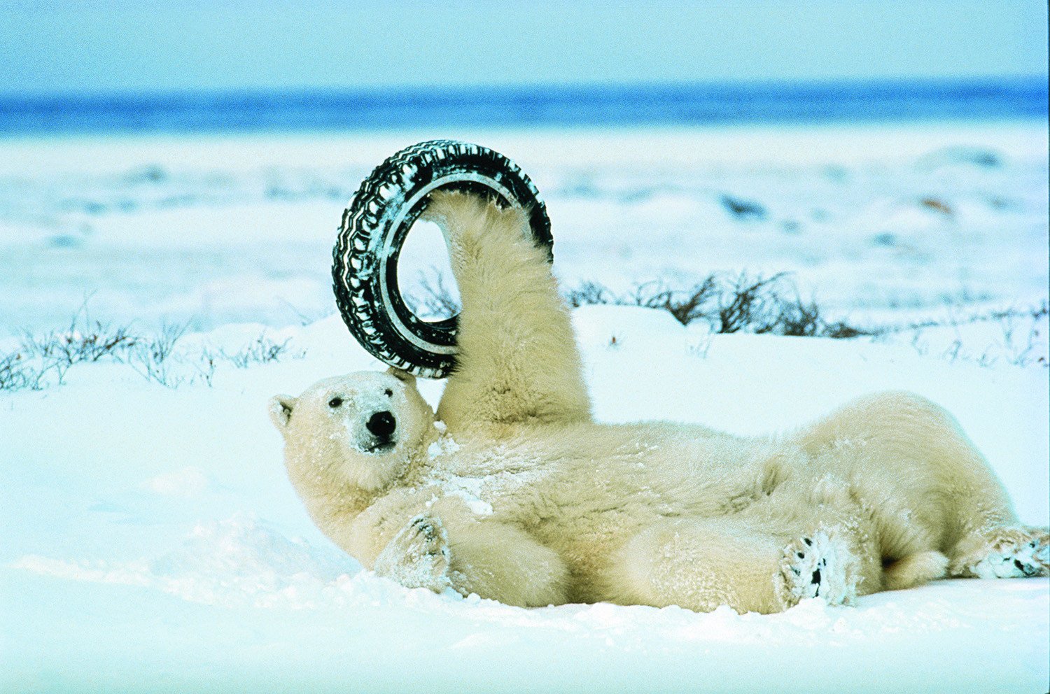 N47 - 100 photos de National Geographic