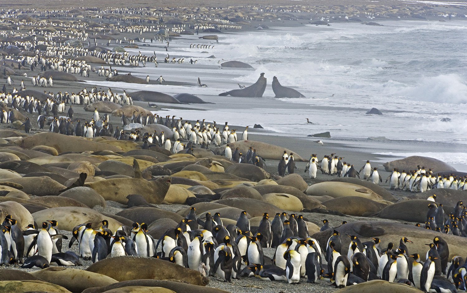N47 - 100 photos de National Geographic