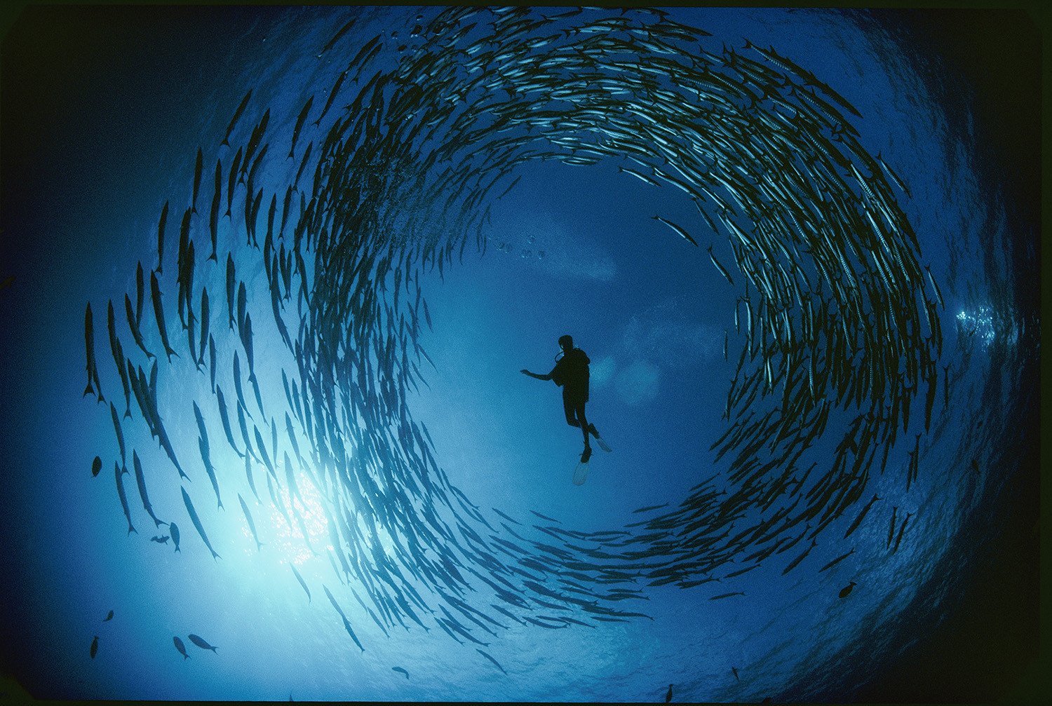 N47 - 100 photos de National Geographic