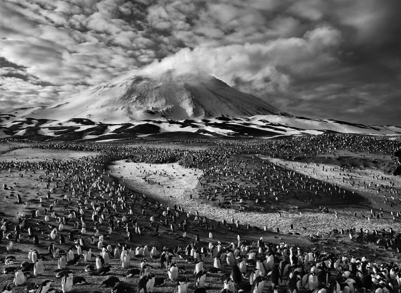 N51 - 100 photos de Sebastião Salgado pour la liberté de la presse