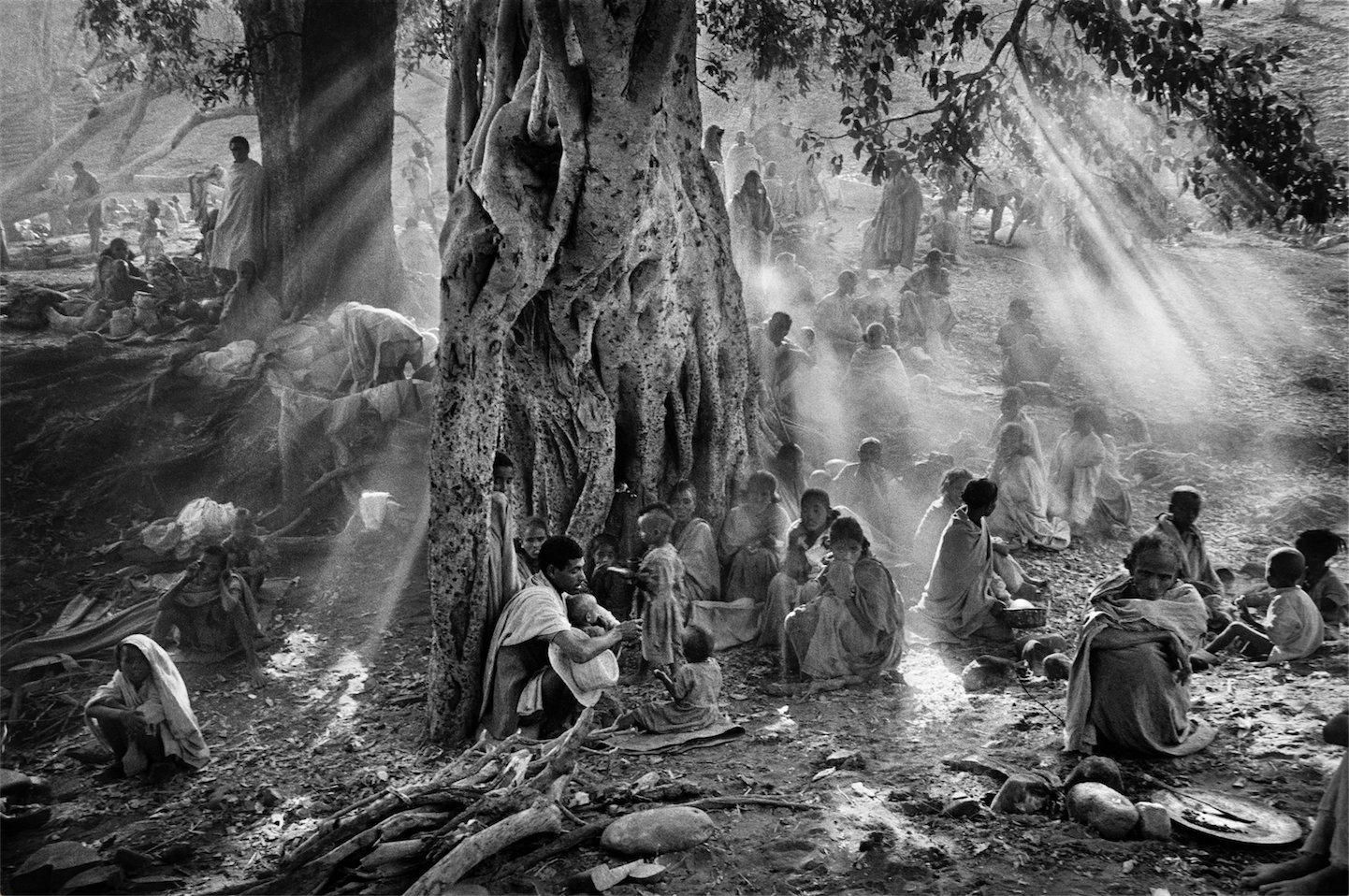 N51 - 100 photos de Sebastião Salgado pour la liberté de la presse