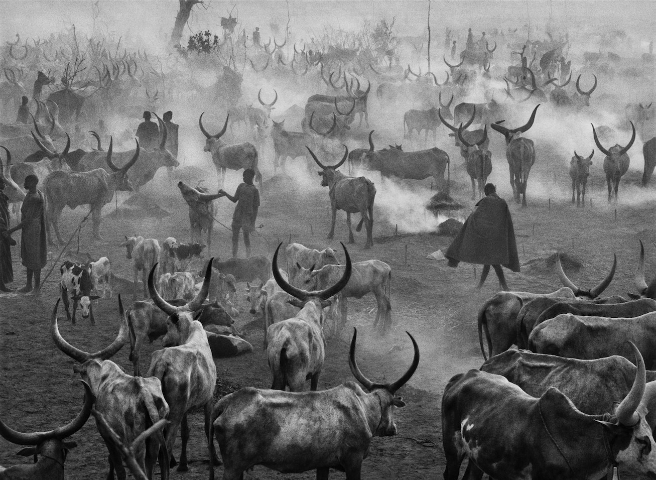 N51 - 100 photos de Sebastião Salgado pour la liberté de la presse
