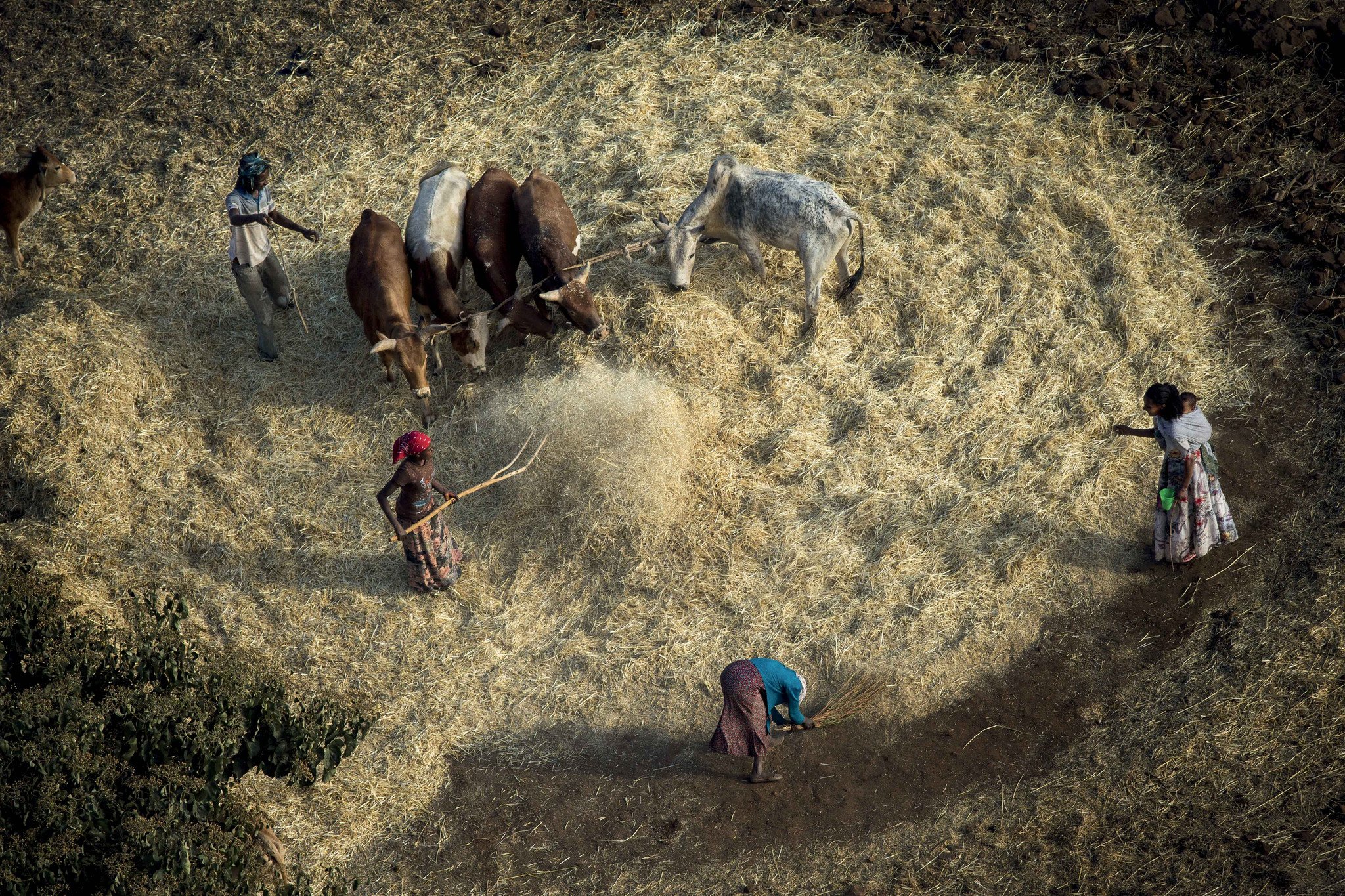 N54 - 100 photos de Yann Arthus-Bertrand pour la liberté de la presse 2017