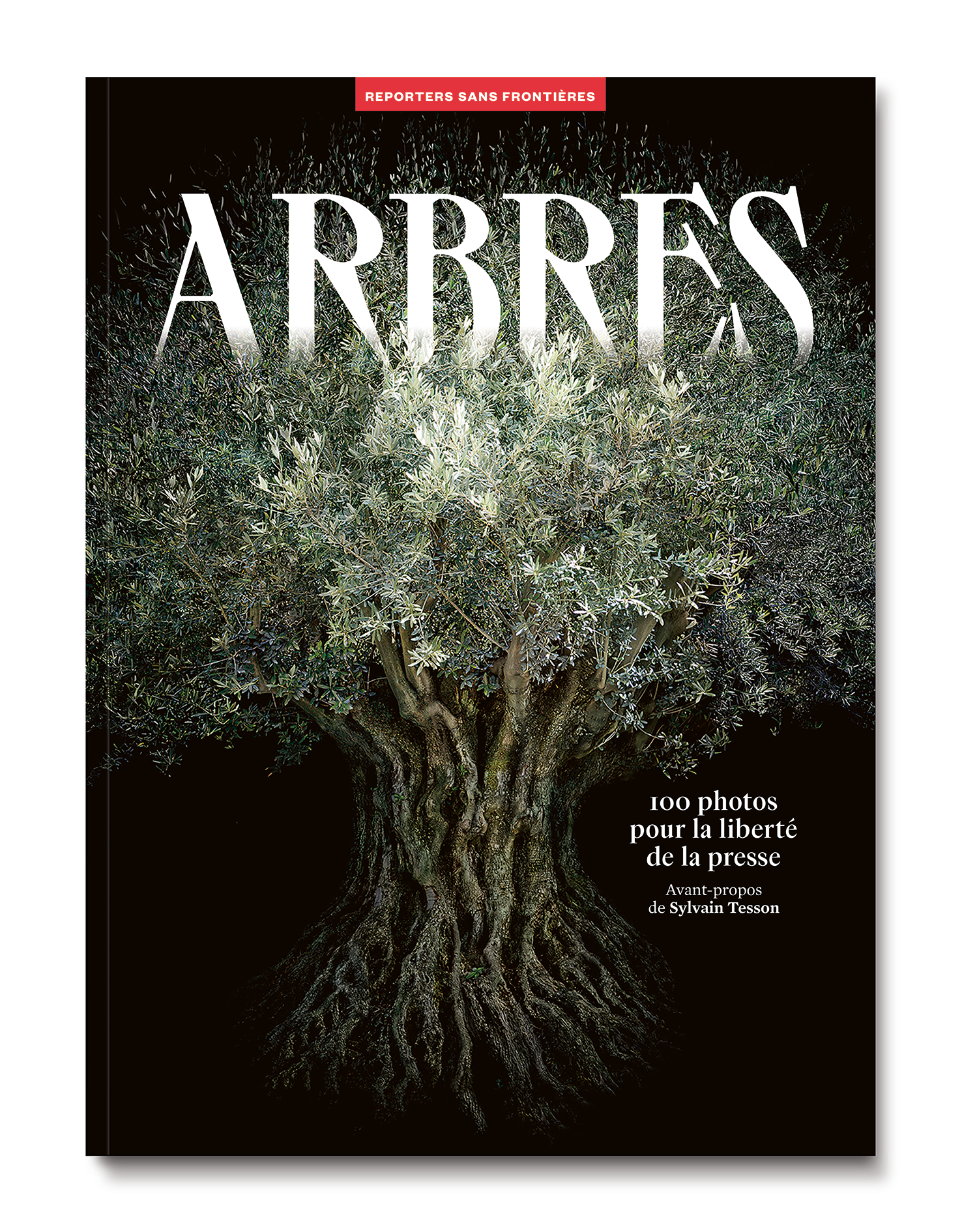 SOLD OUT // 70 - Arbres