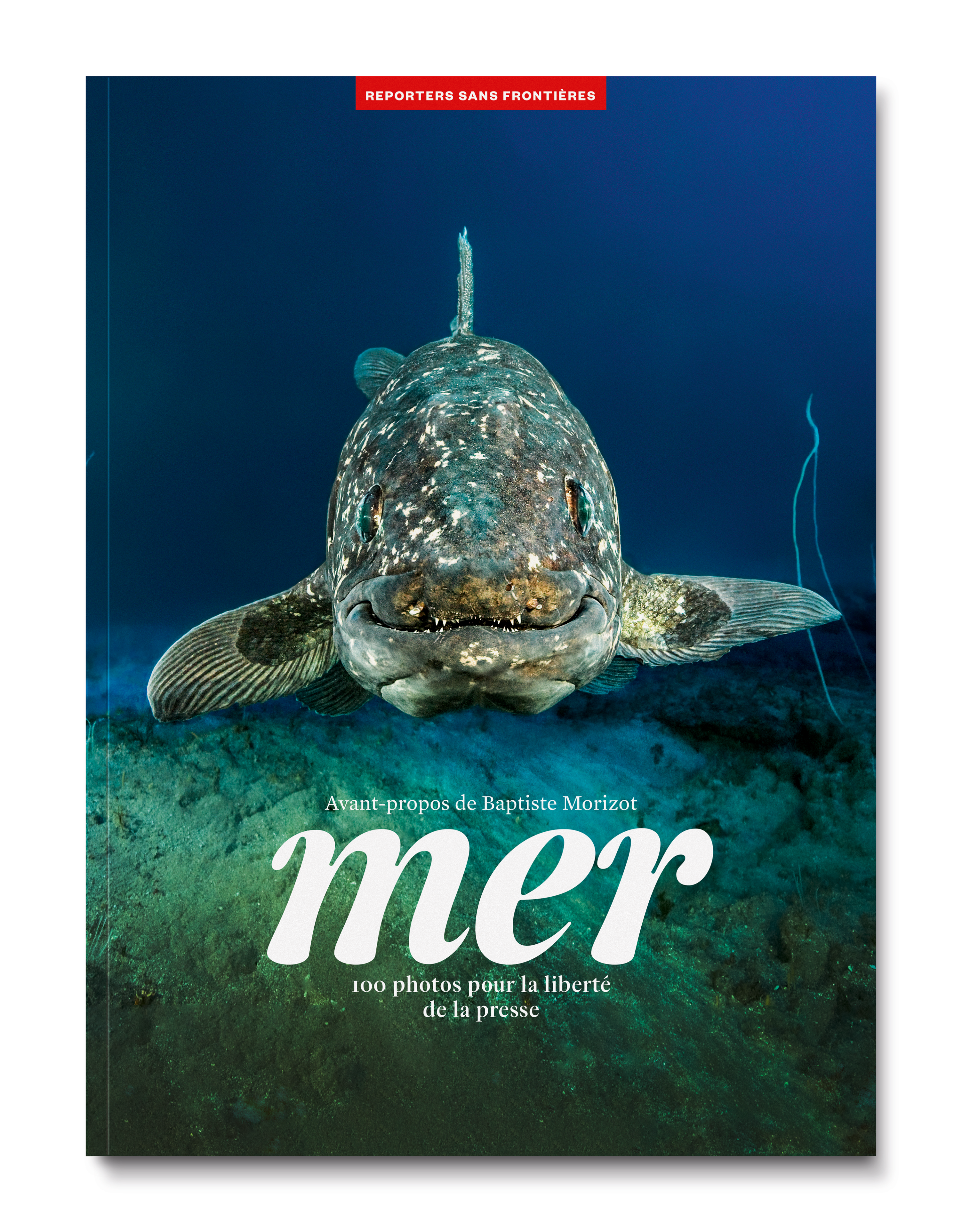 73 - Mer