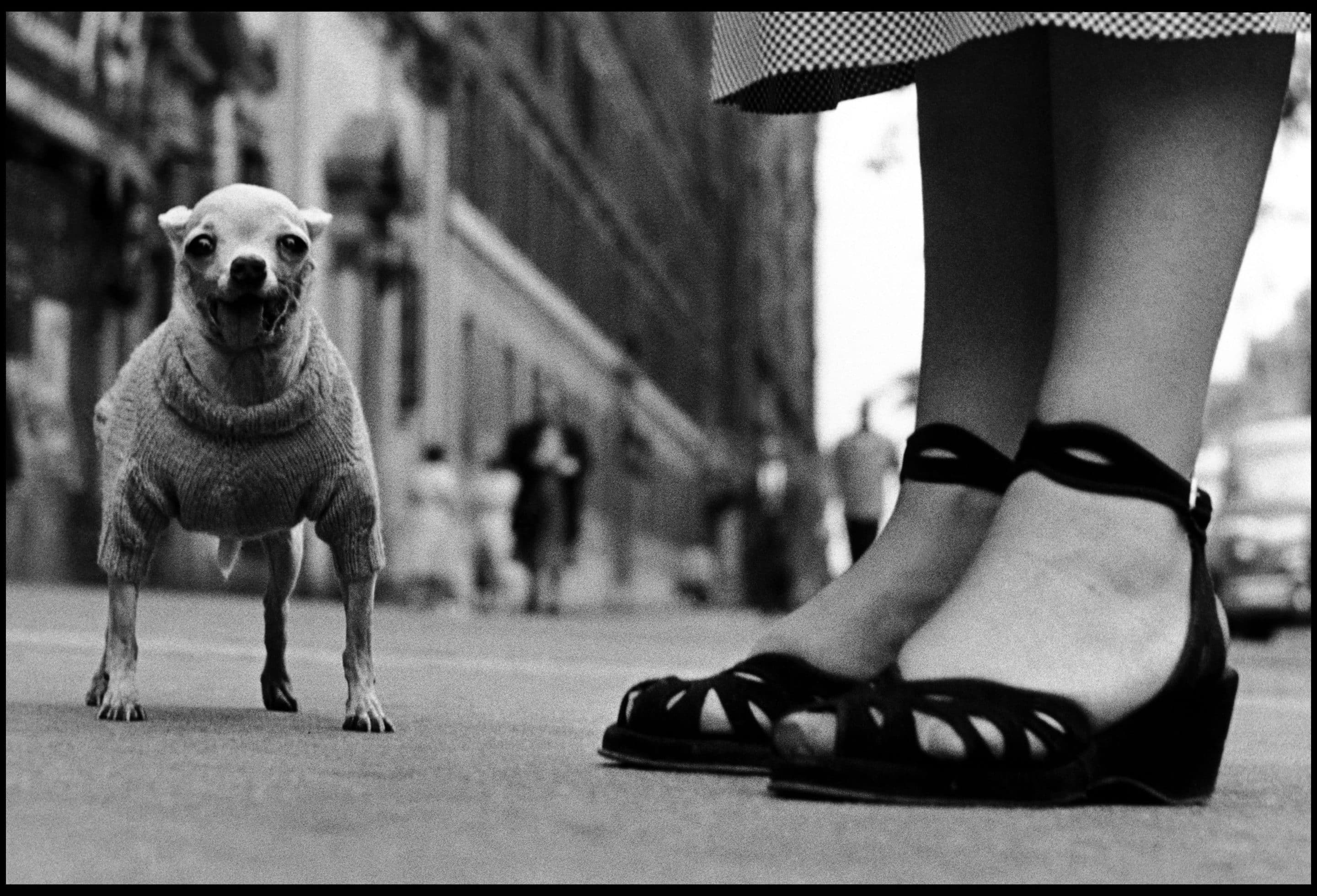 74 - Elliott Erwitt