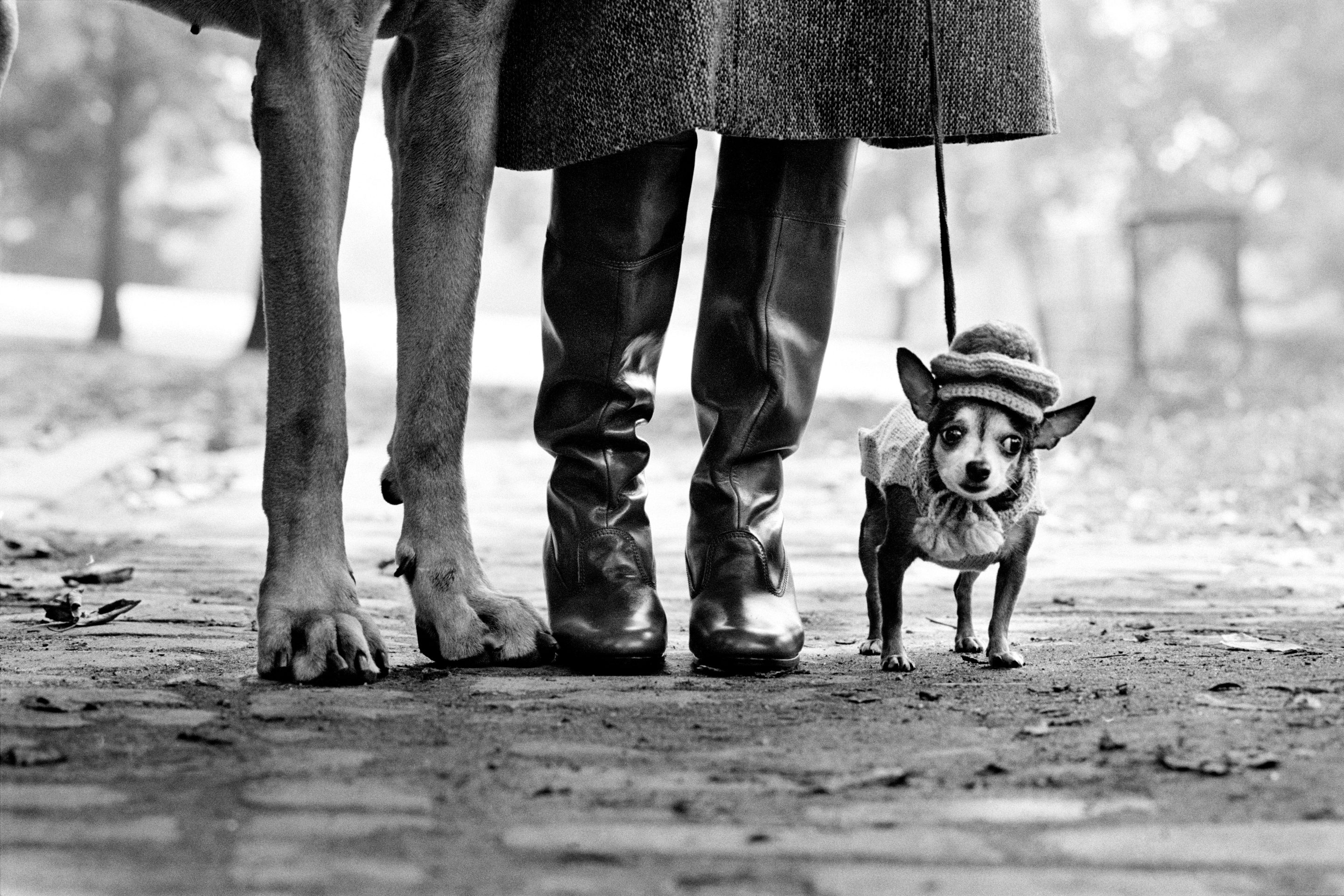 74 - Elliott Erwitt